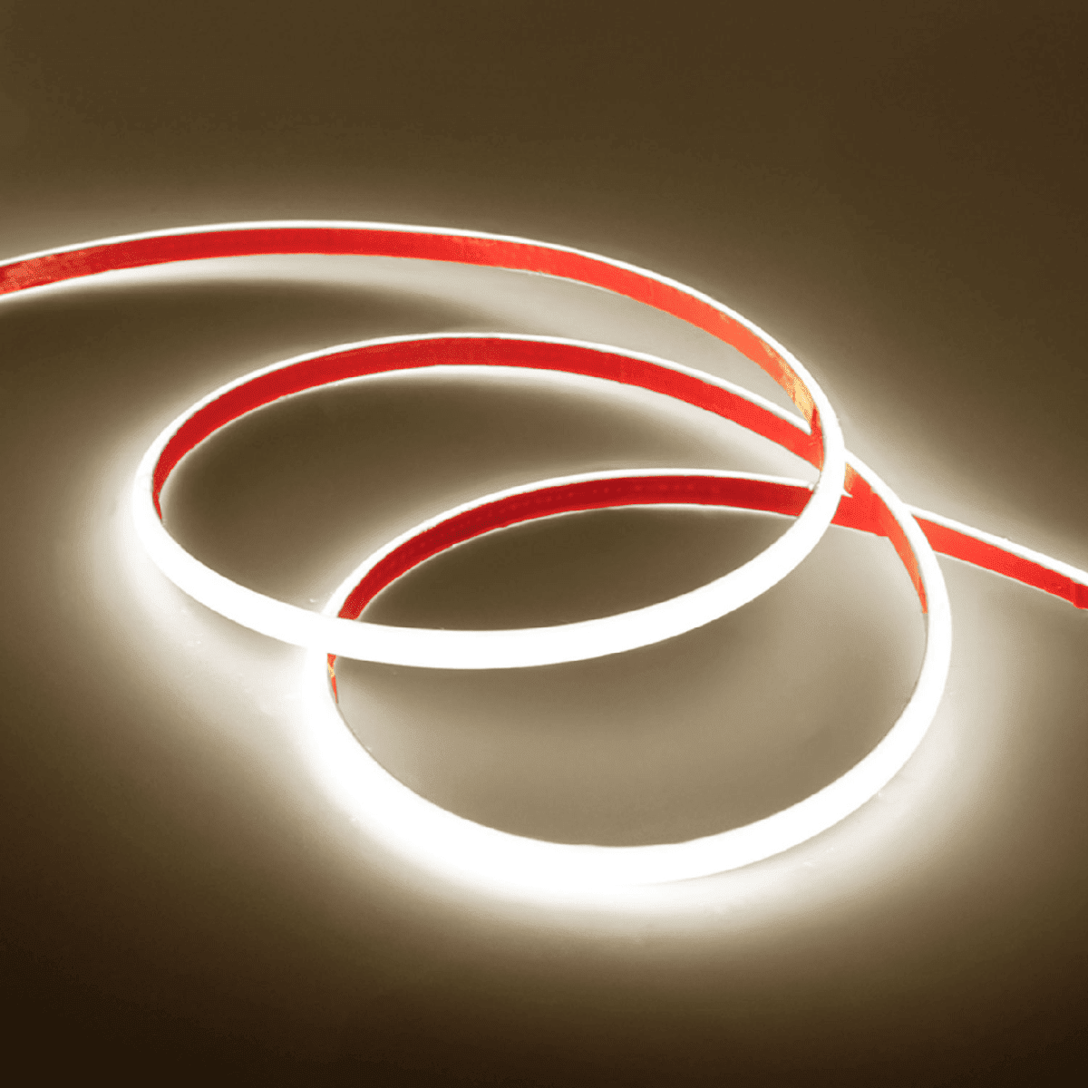Cinta 220V COB 10W/m 240Led/m 50mt 6500K Fría2