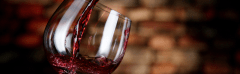 Vinos & Espumantes 