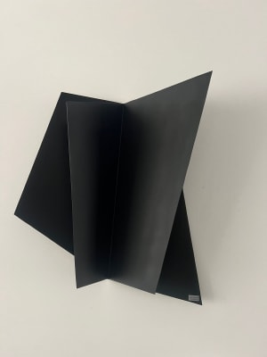 ESCULTURA DE PARED IRREGULAR 3D