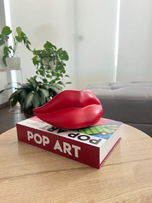 LIBRO DECORATIVO POP ART