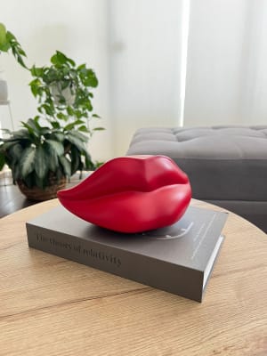 LIBRO DECORATIVO THE THEORY