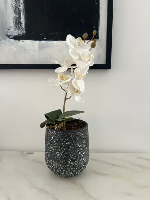 ARREGLO FLORAL ORQUÍDEA