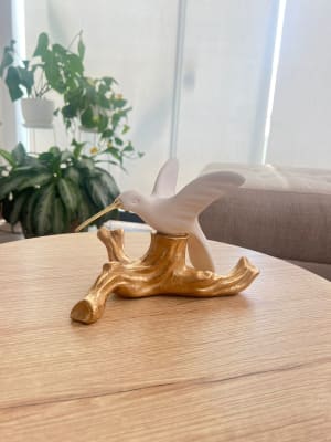COLIBRÍ EN TRONCO