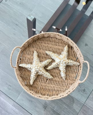 ADORNO JUEGO ESTRELLA DE MAR X2