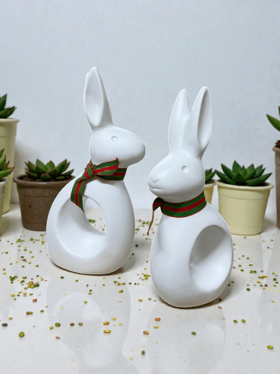 SET DE CONEJOS5