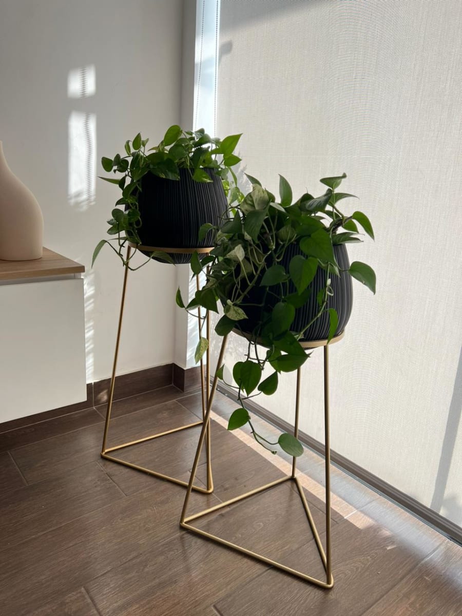 MACETERO DUOMO SATIN BLACK