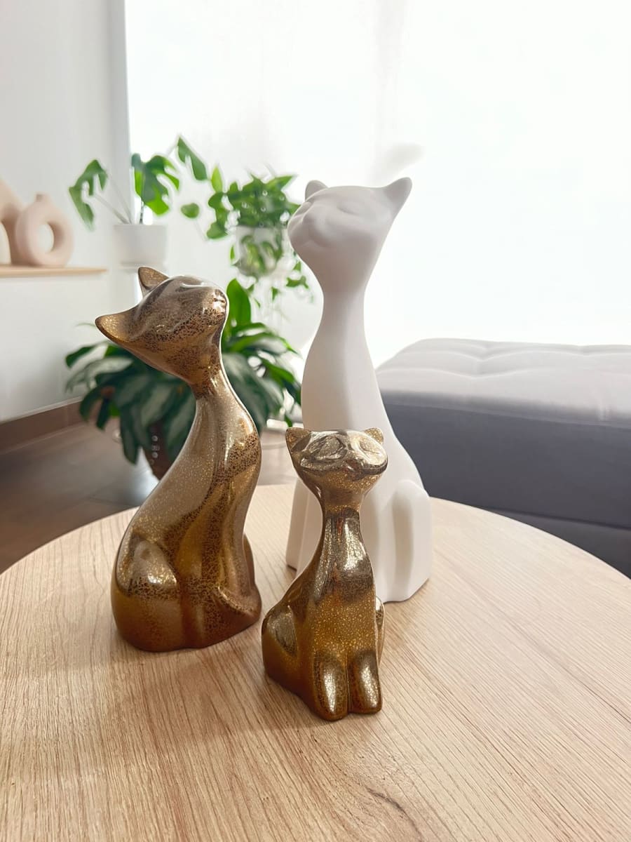 TRIO FELINO FAMILIAR1