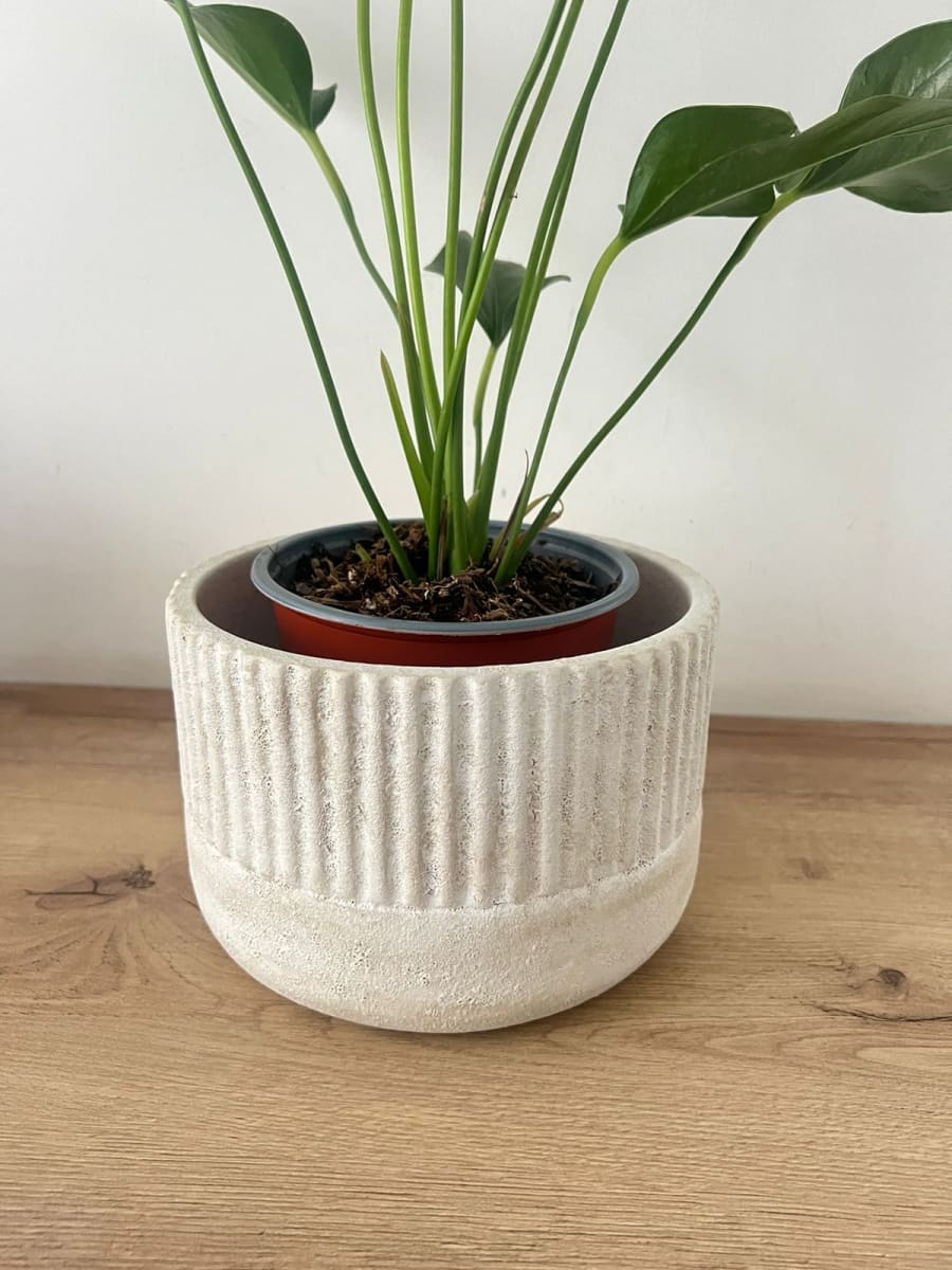 PORTAMACETA RANURADO CALIZA2