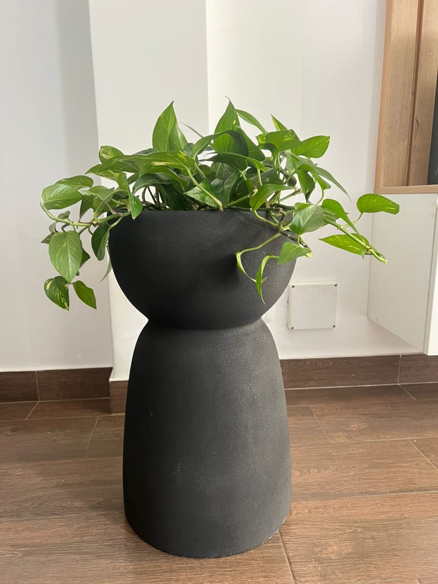 MACETERO OSLO BLACK2