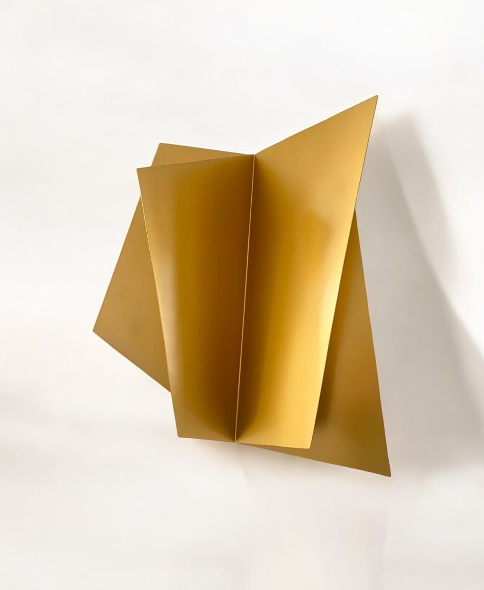ESCULTURA DE PARED IRREGULAR 3D3