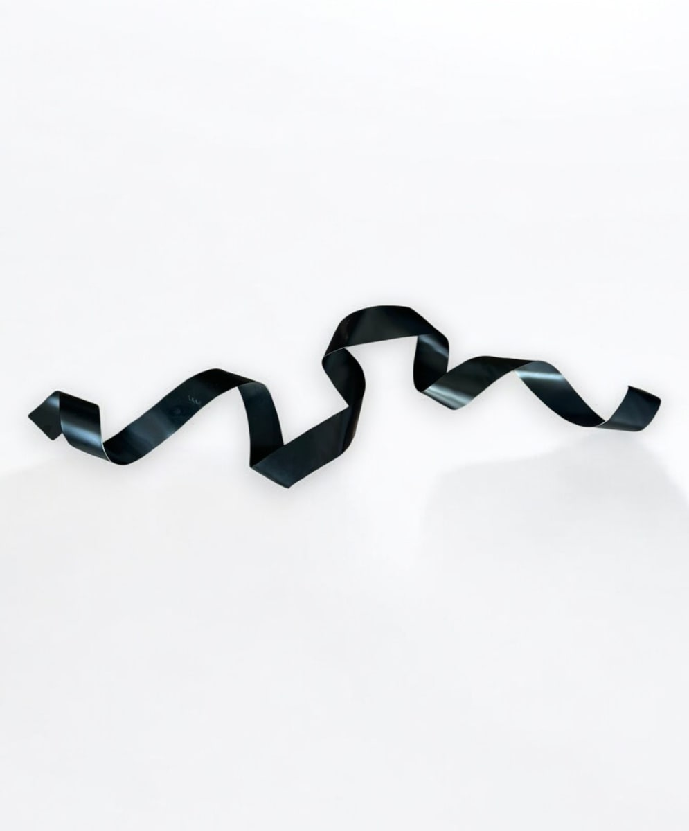 ESCULTURA DE PARED CURLY BLACK1