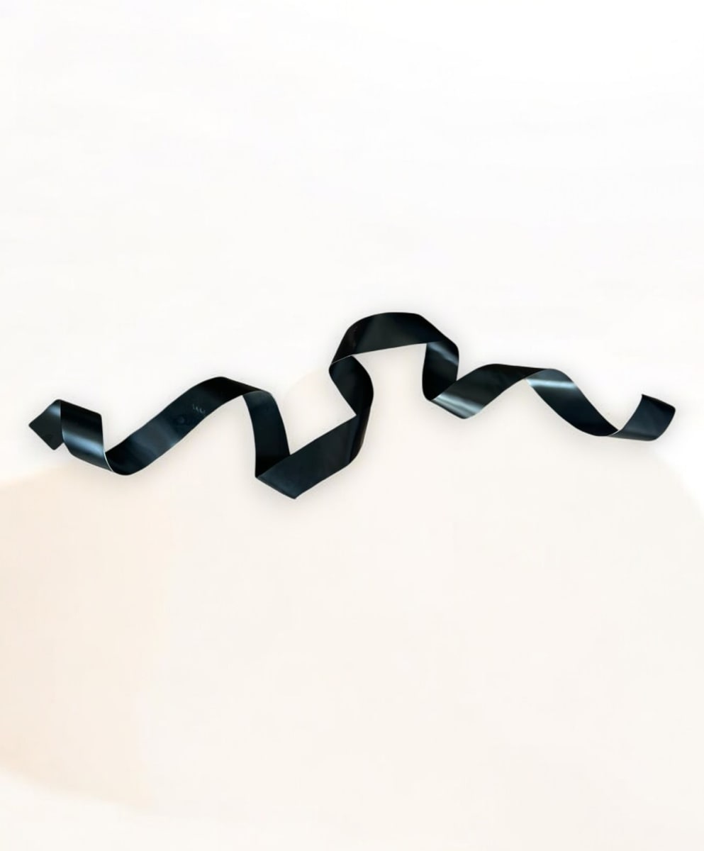 ESCULTURA DE PARED CURLY BLACK5