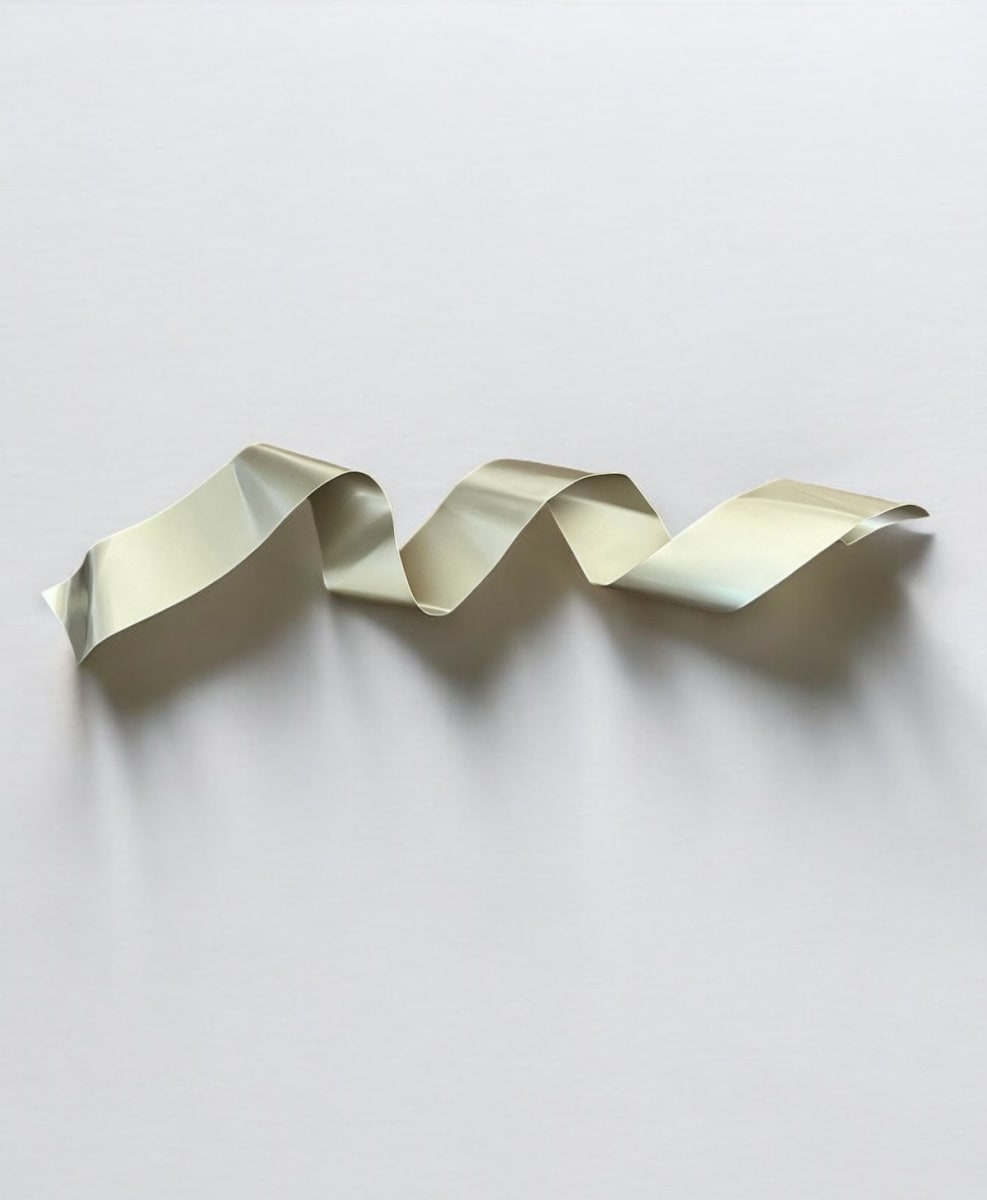 ESCULTURA DE PARED TAPE CHAMPAGNE1