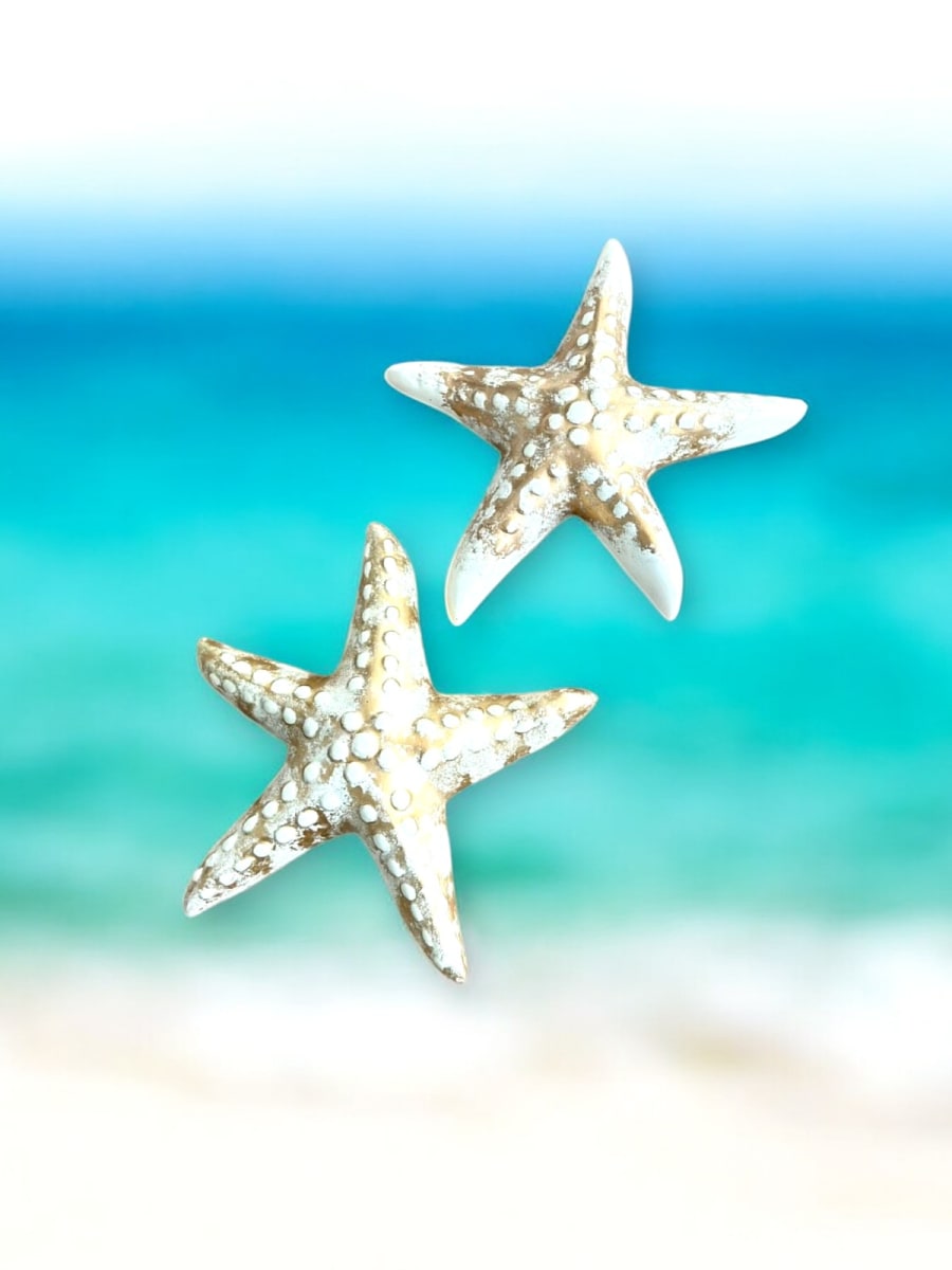 ADORNO JUEGO ESTRELLA DE MAR X22