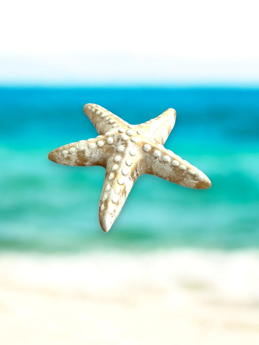 ADORNO JUEGO ESTRELLA DE MAR X23