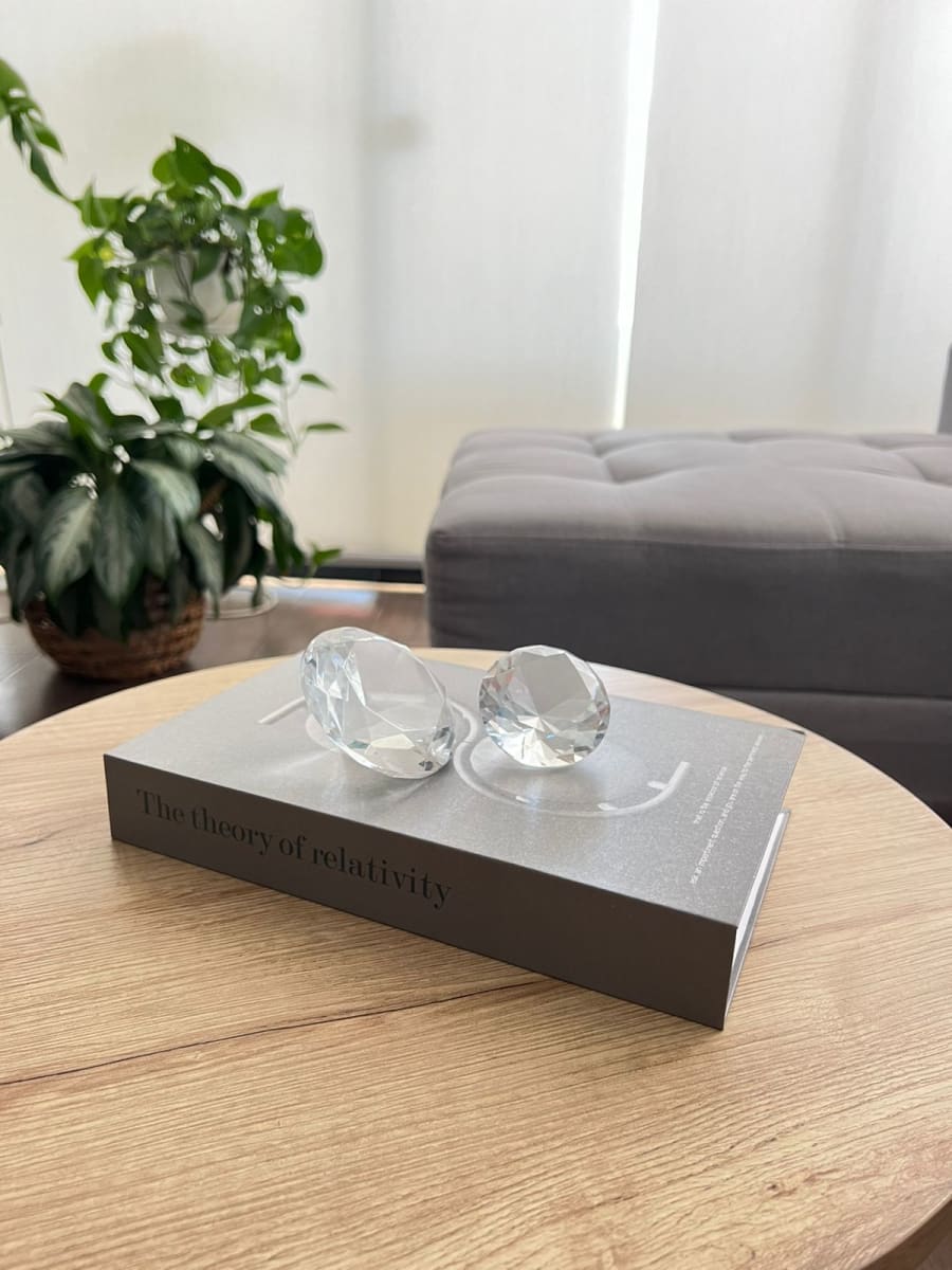 LIBRO DECORATIVO THE THEORY3