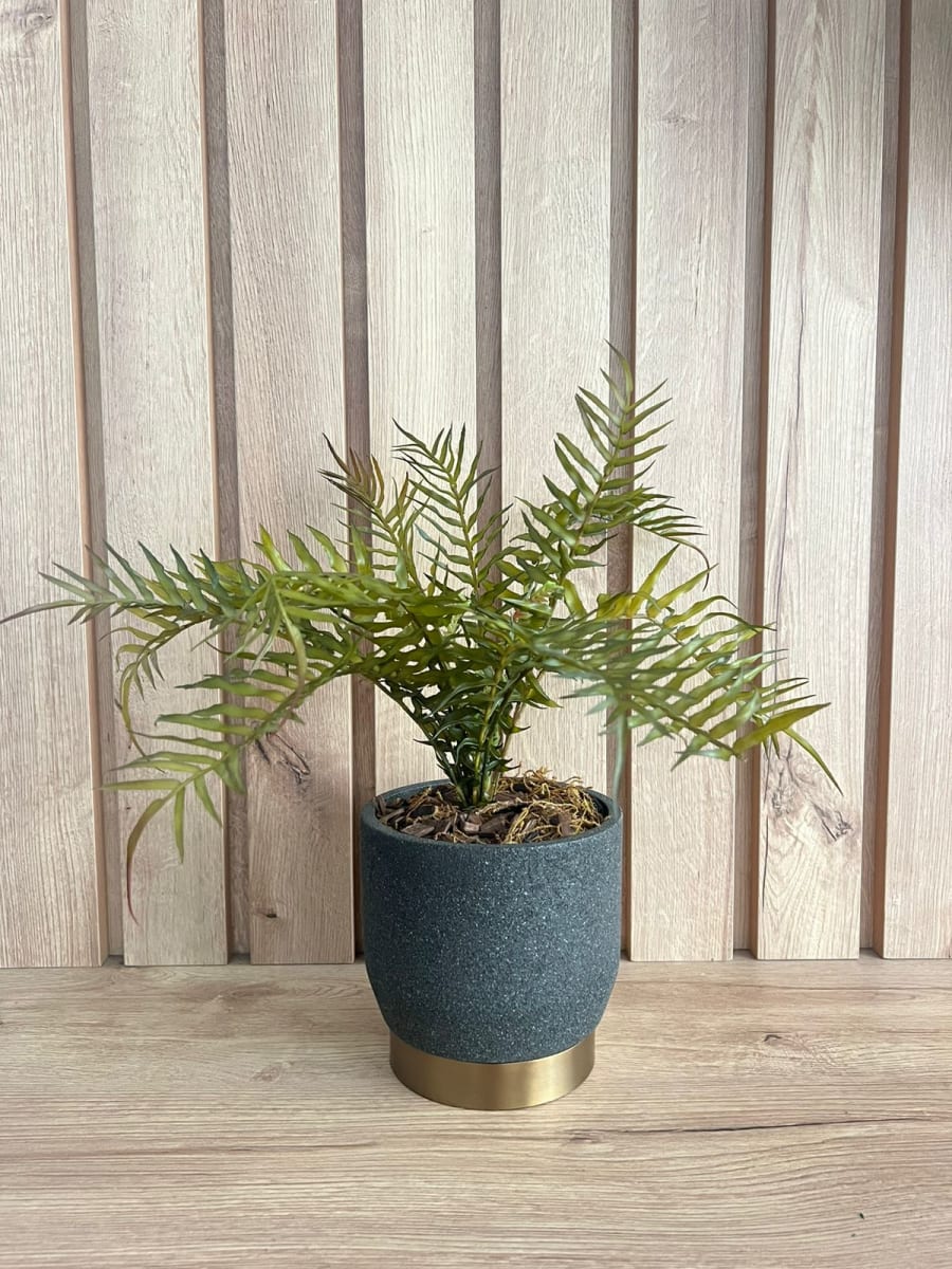 ARREGLO FLORAL HELECHO