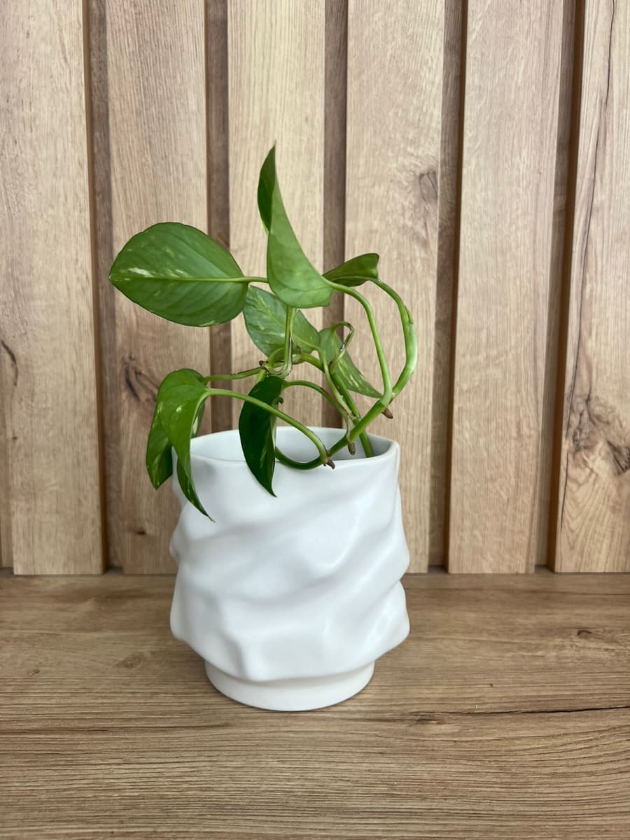 FLORERO IRREGULAR SOHO1