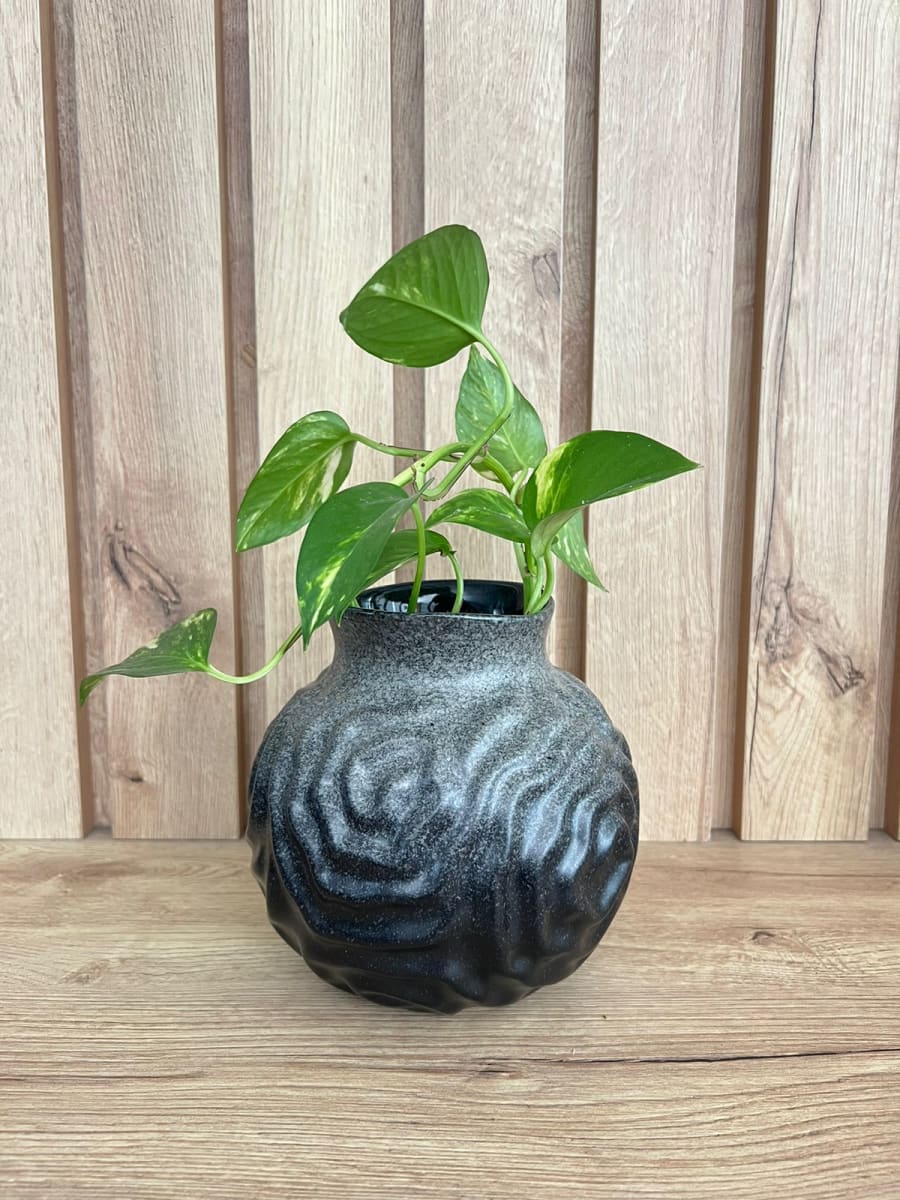 FLORERO REDONDO PETIT SOHO2