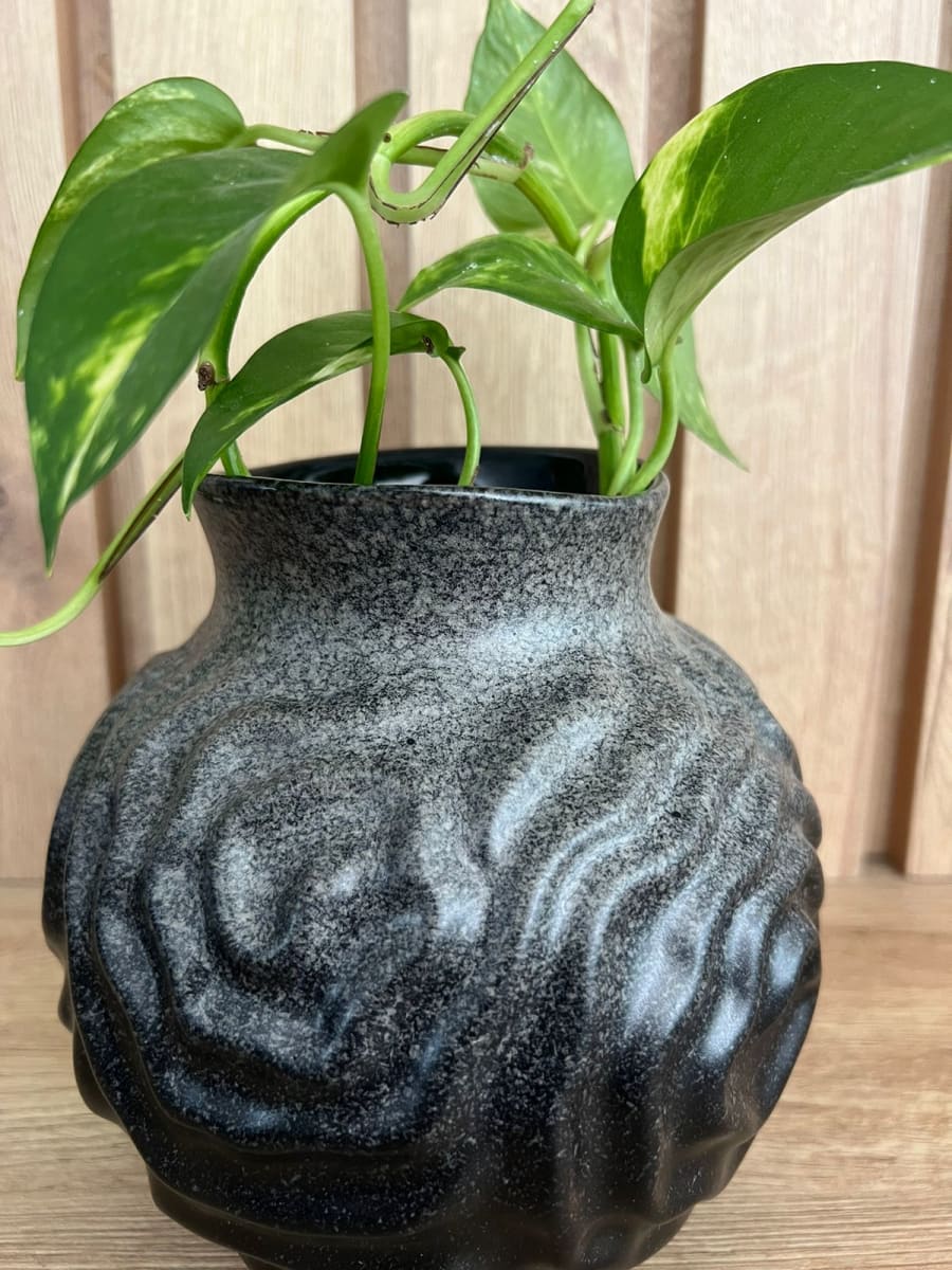 FLORERO REDONDO PETIT SOHO1