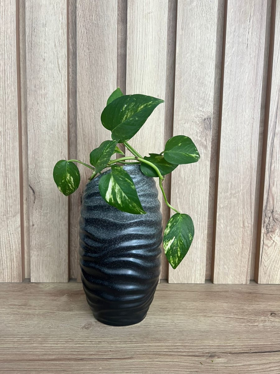 FLORERO SOHO  LARGO PETIT2