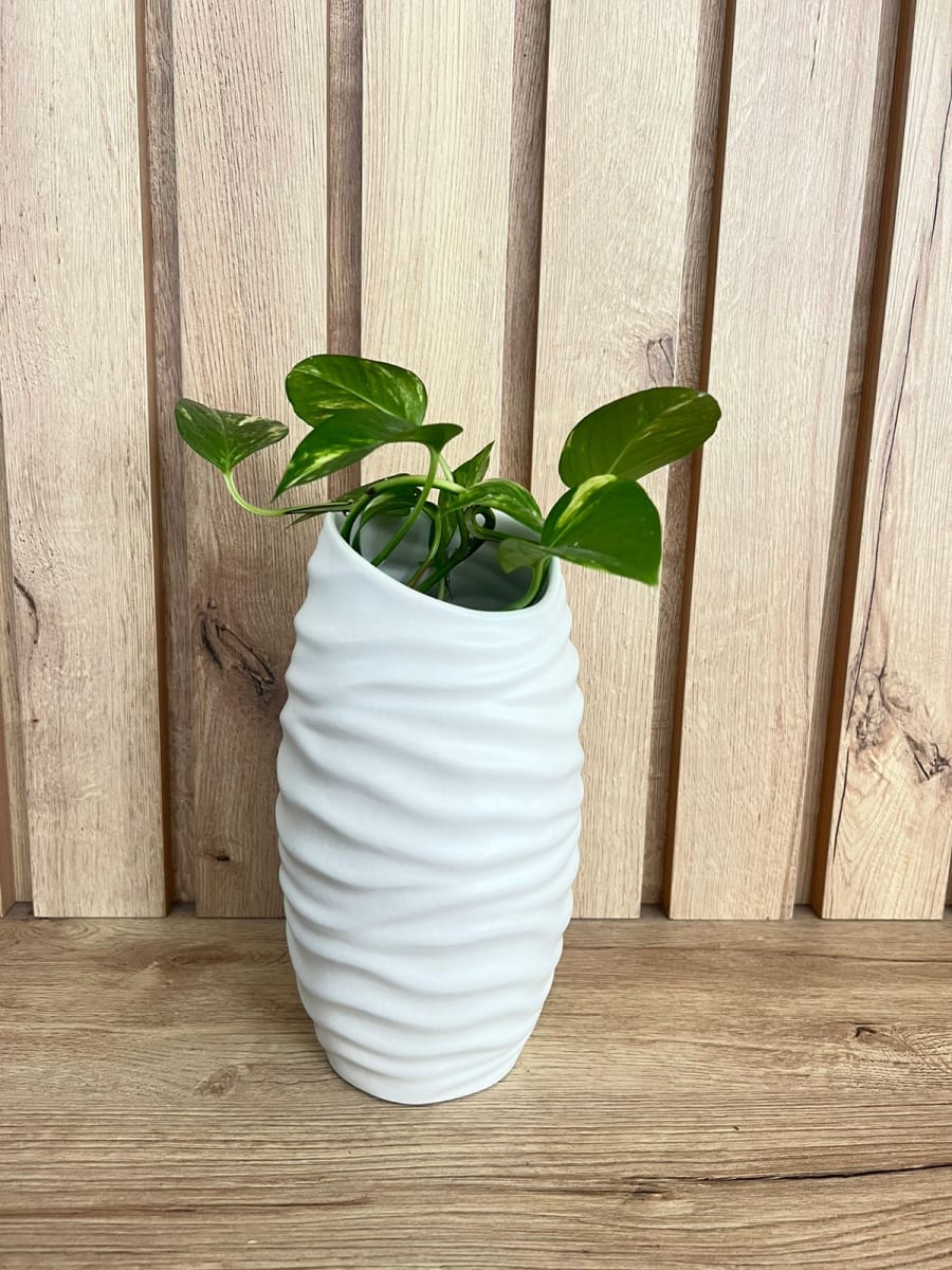 FLORERO SOHO  LARGO PETIT1