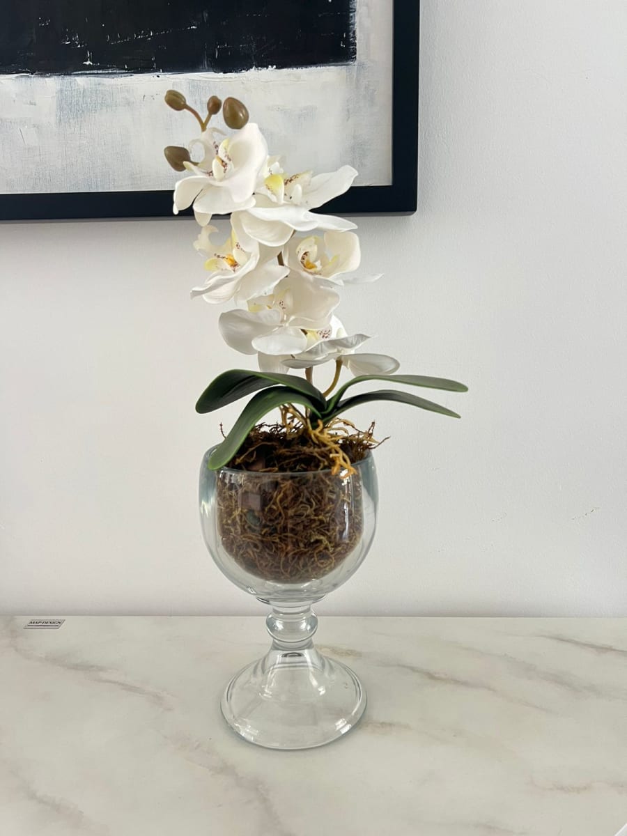 ARREGLO FLORAL ORQUÍDEA EN COPA