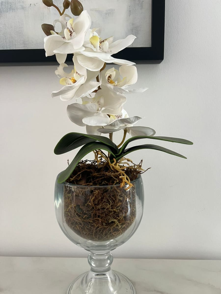 ARREGLO FLORAL ORQUÍDEA EN COPA2