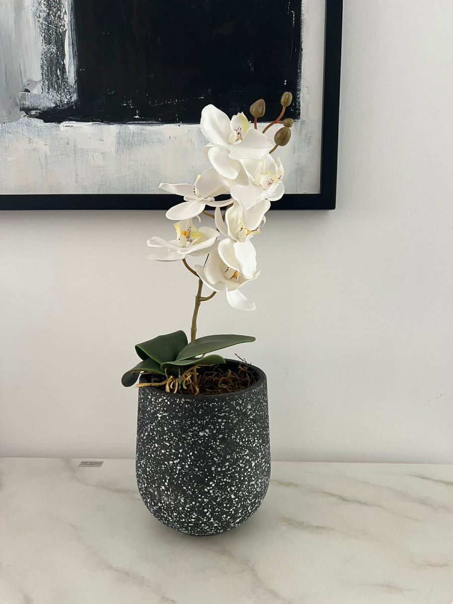 ARREGLO FLORAL ORQUÍDEA1