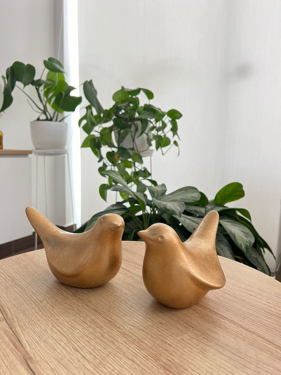 JUEGO DE PALOMAS UNIDOS EN VUELO2