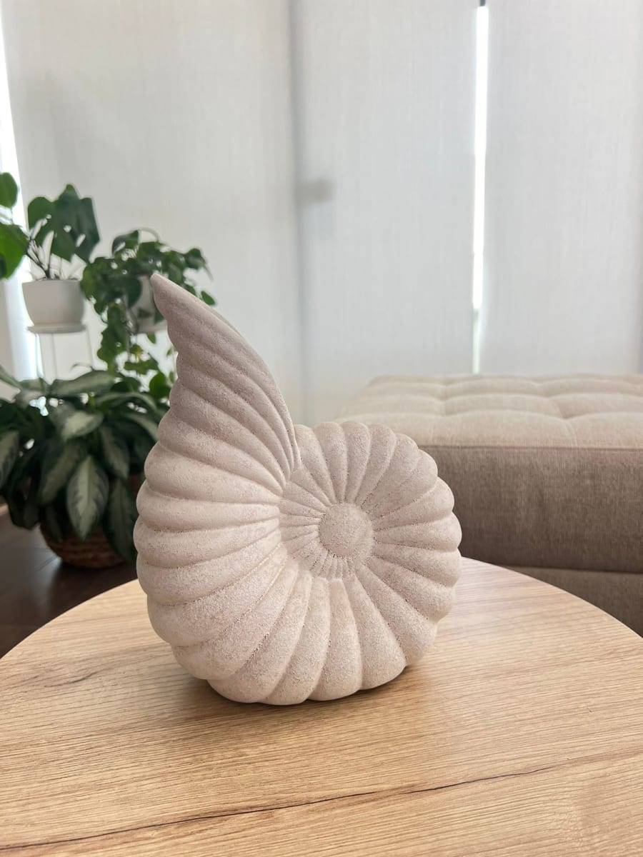 FLORERO PLAYA CARACOL2