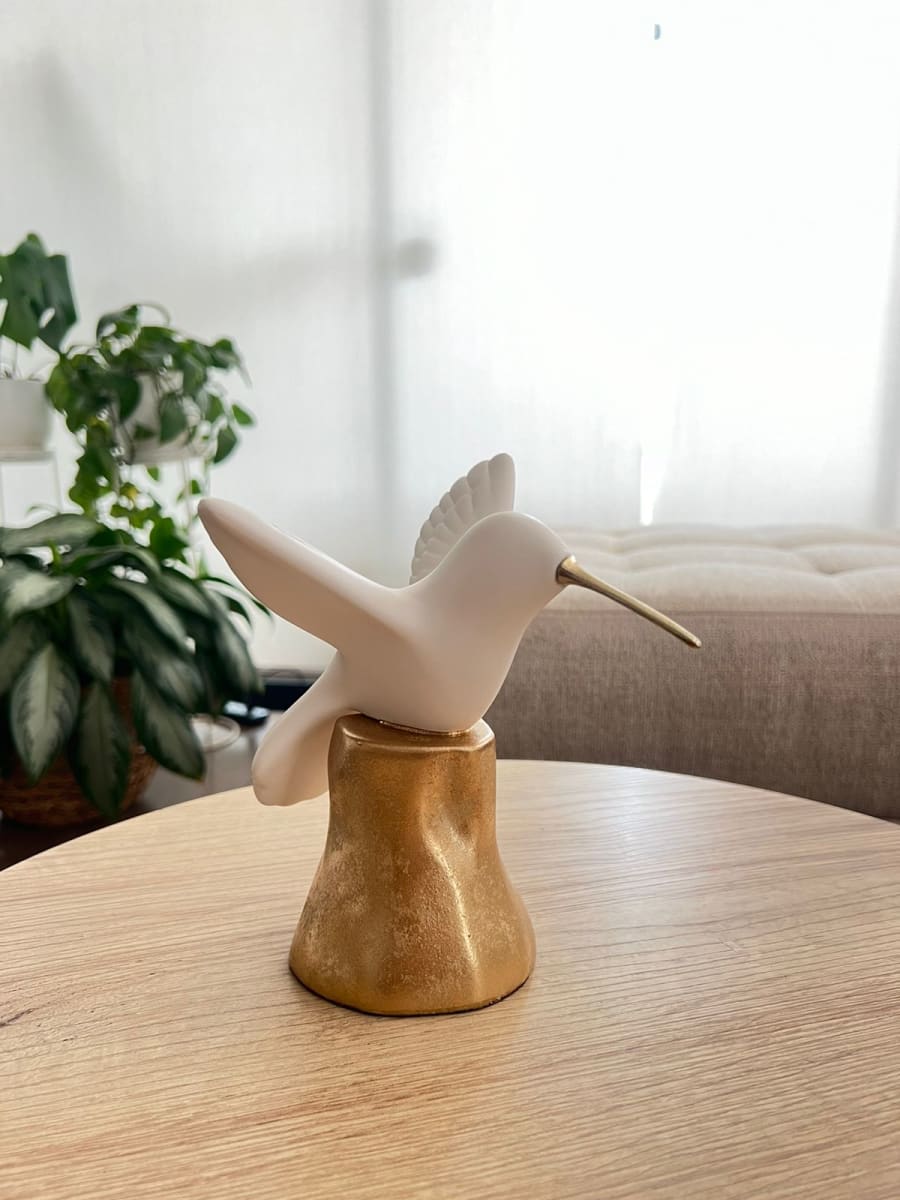 COLIBRÍ POSADO
