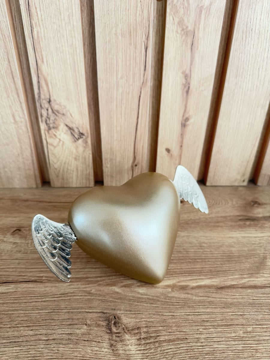 CORAZÓN CON ALAS2