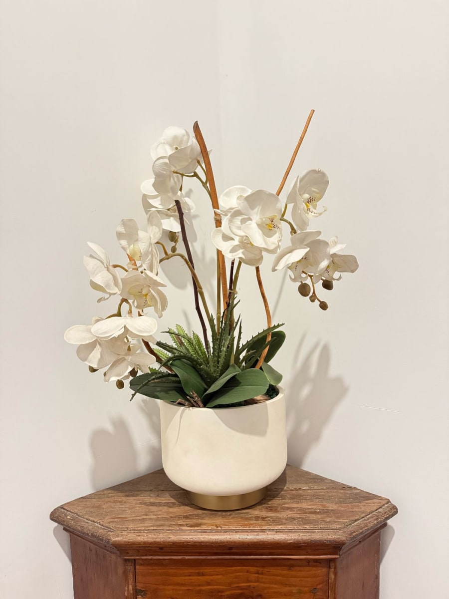 ARREGLO ORQUIDEAS CHIC IVORY