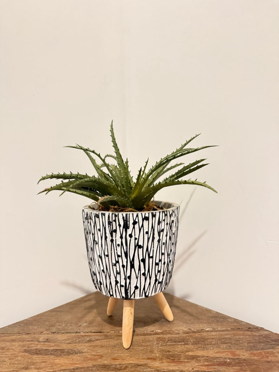 ARREGLO FLORAL CACTUS ALOE