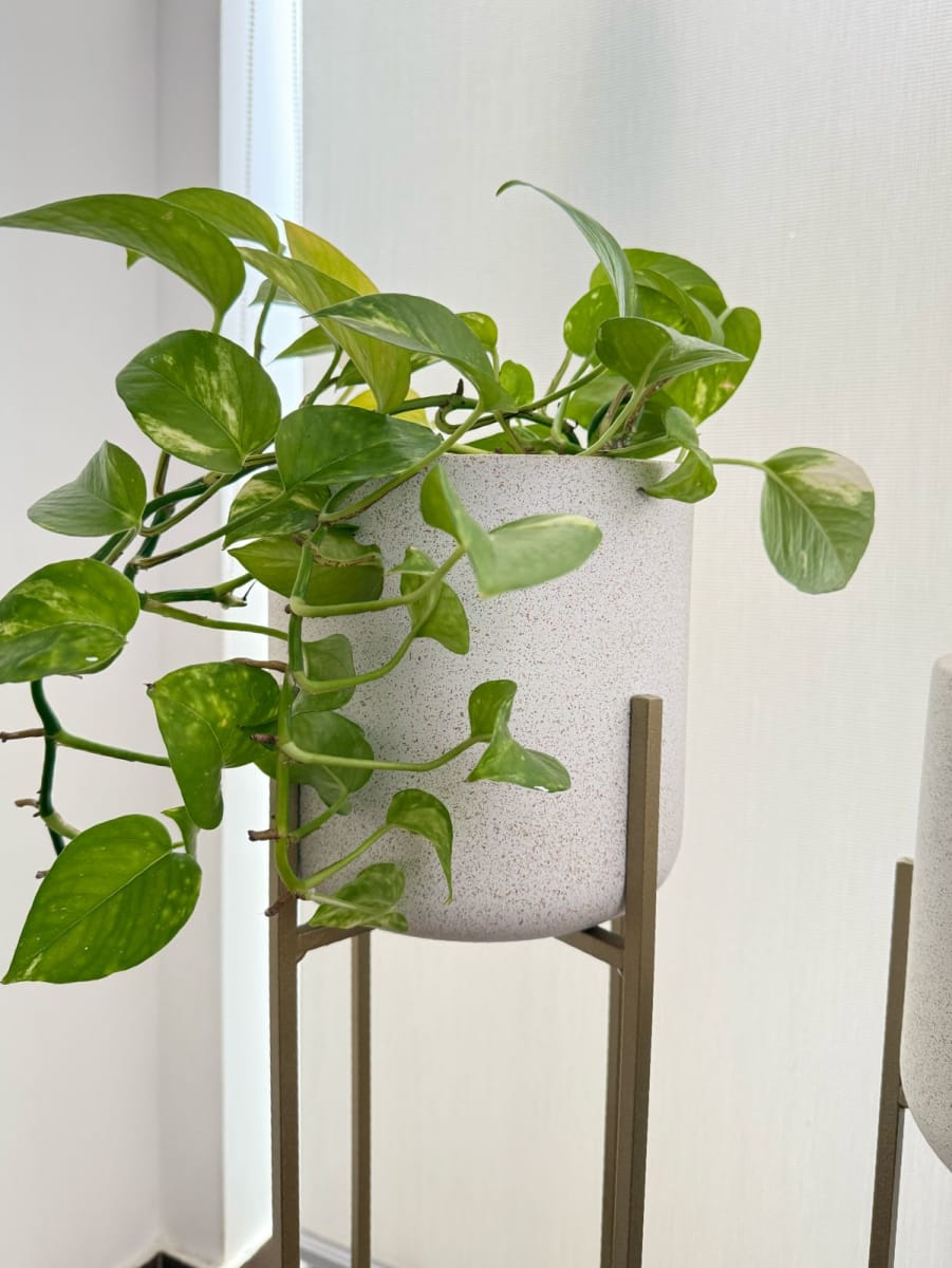 MACETERO DE PISO MODERN3