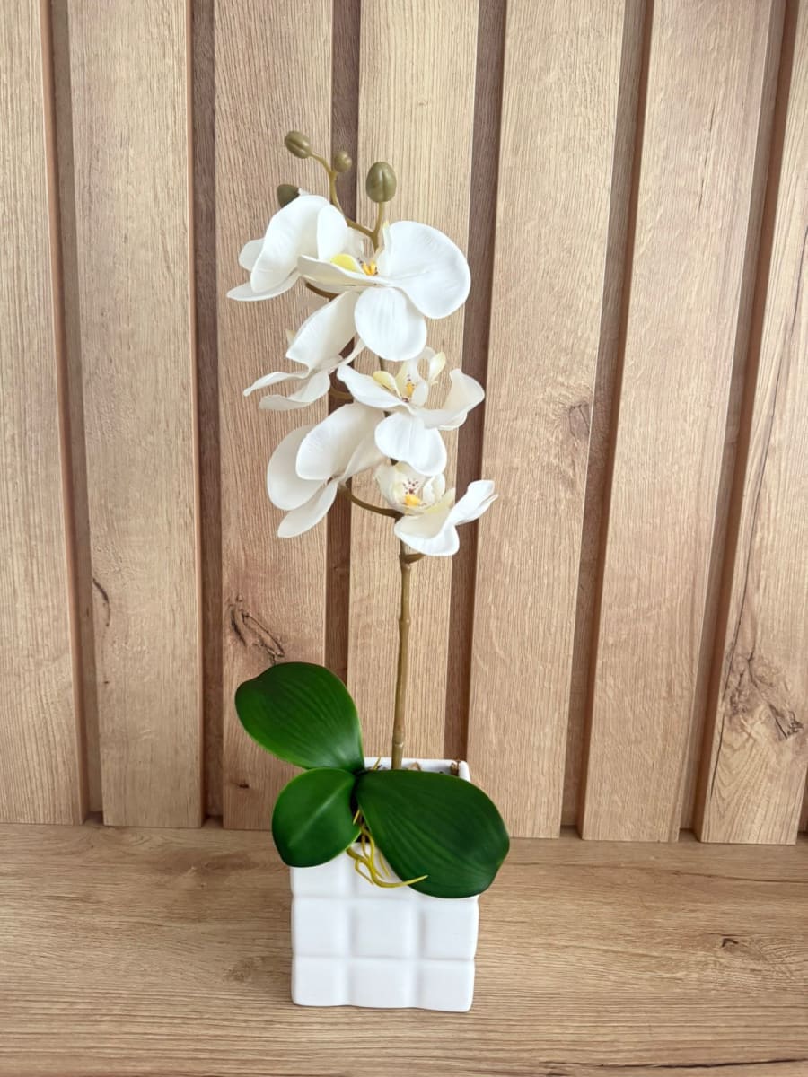 ARREGLO FLORAL ORQUIDEA BLANCA MODERN1