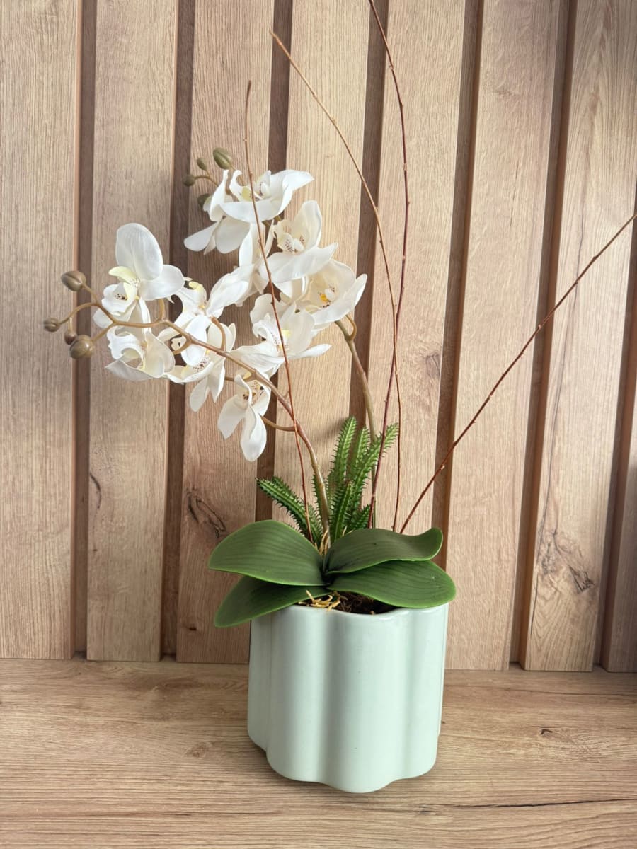 ARREGLO FLORAL ORQUIDEA BLANCA CLOUD