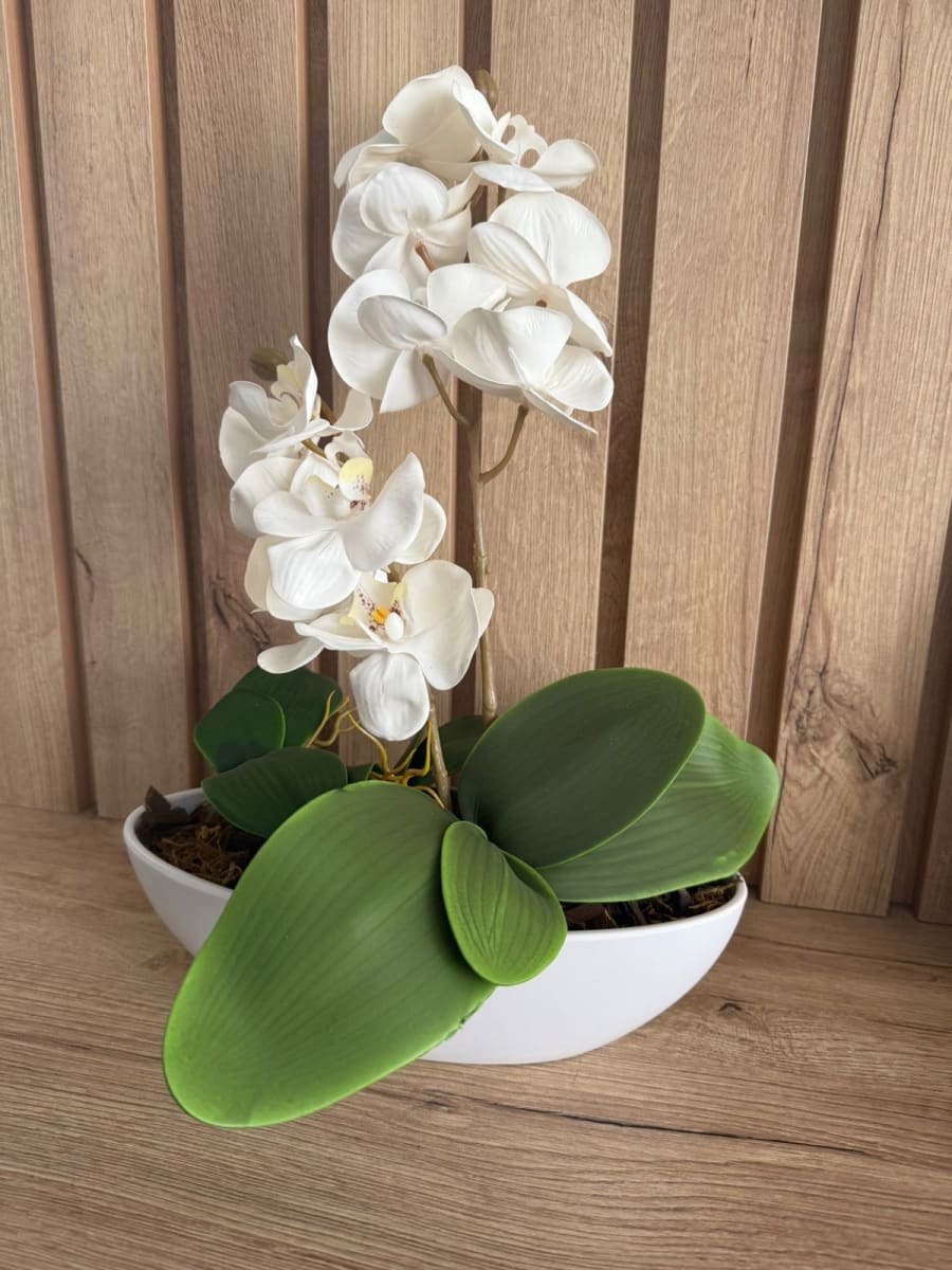 ARREGLO FLORAL ORQUIDEA BLANCA NAVI2