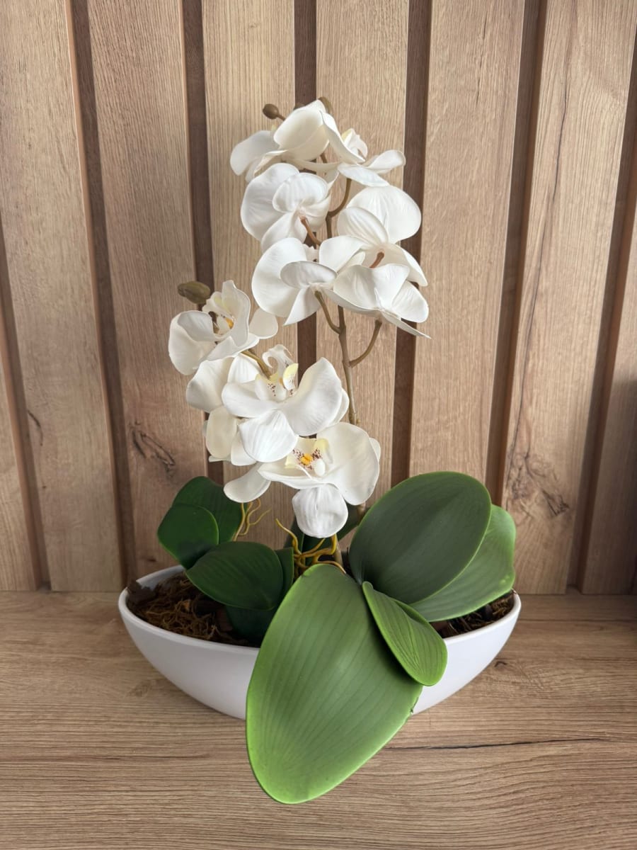 ARREGLO FLORAL ORQUIDEA BLANCA NAVI