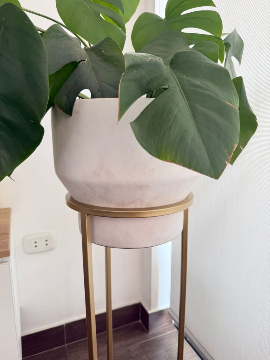 MACETERO DE PISO EMERY3