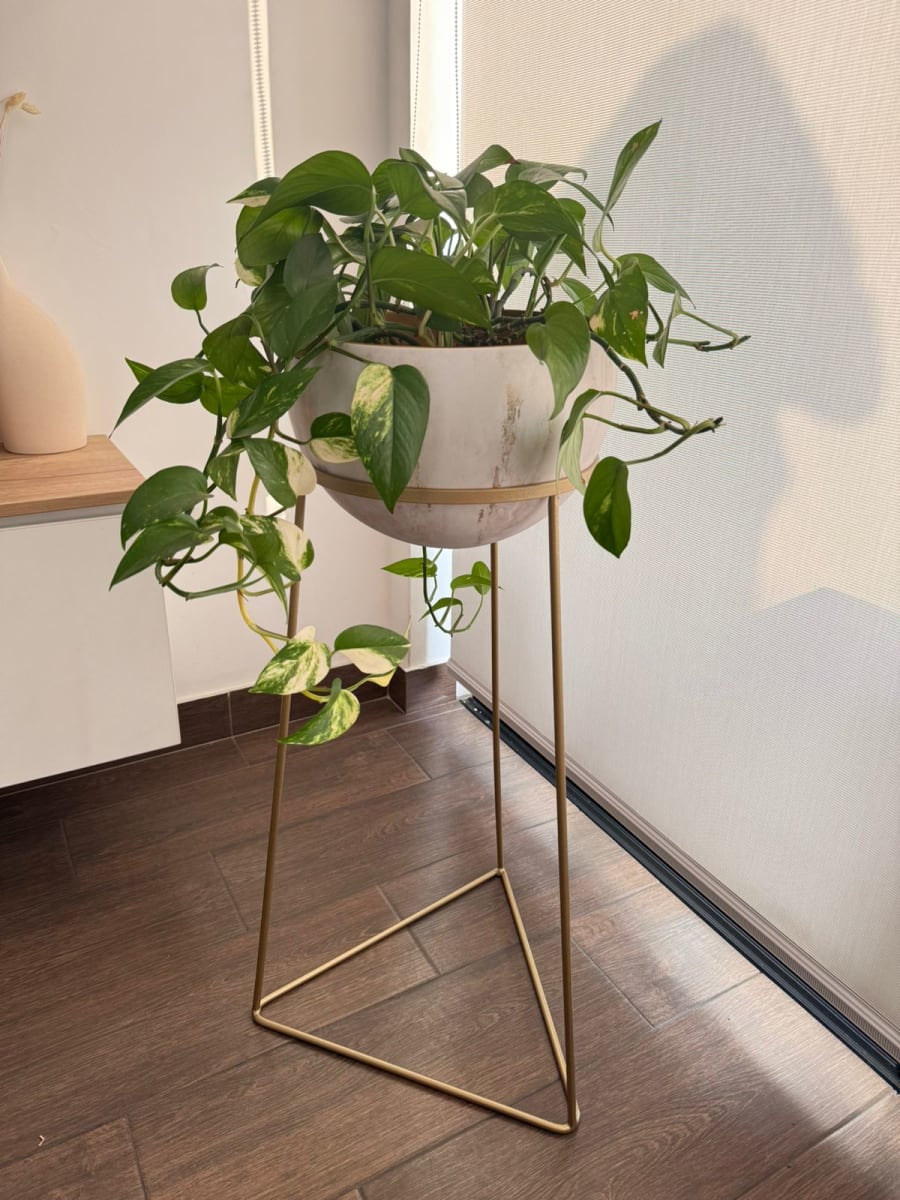 MACETERO DE PISO DEEP2