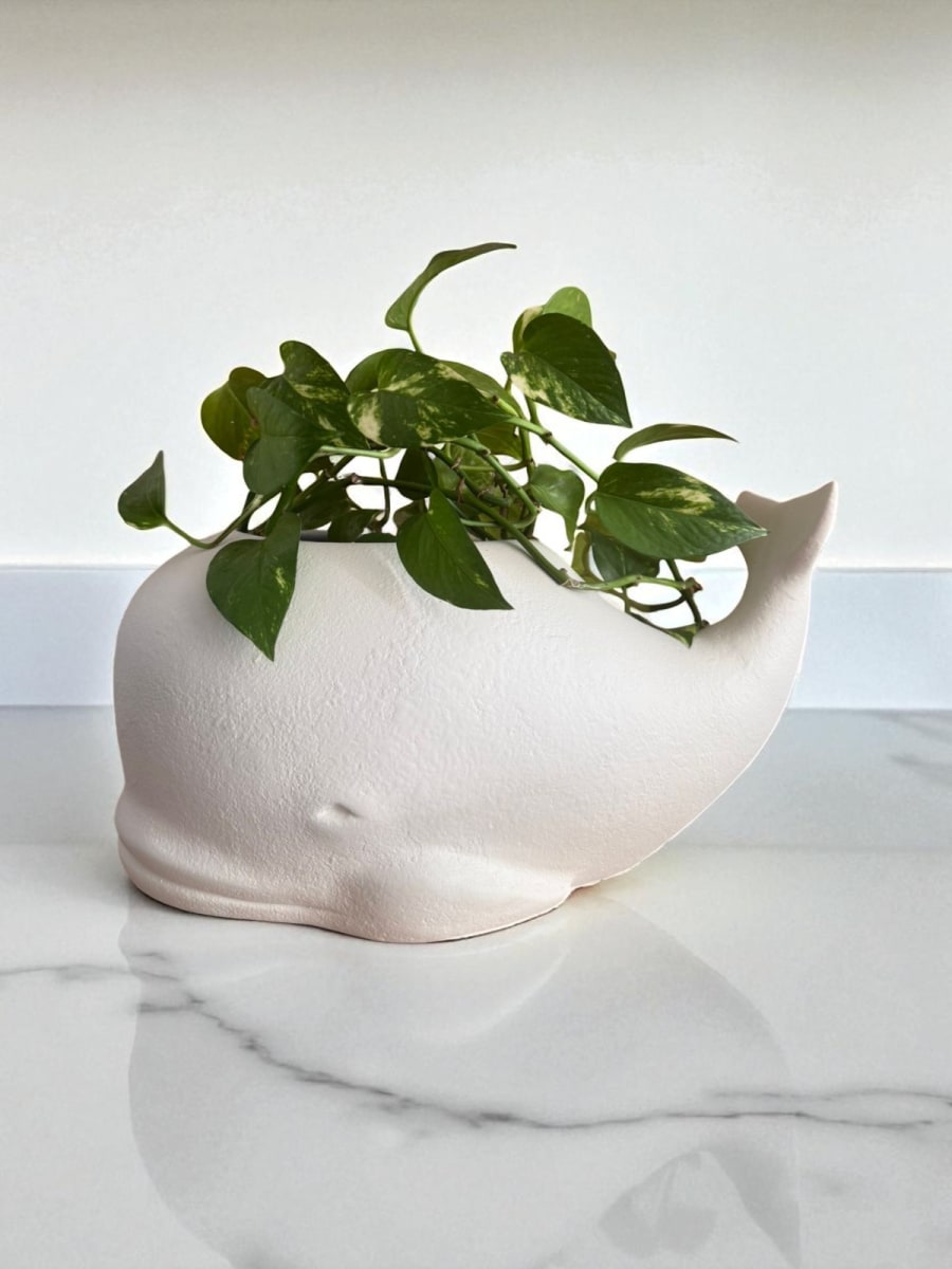 ADORNO MACETERO BALLENA COASTAL2