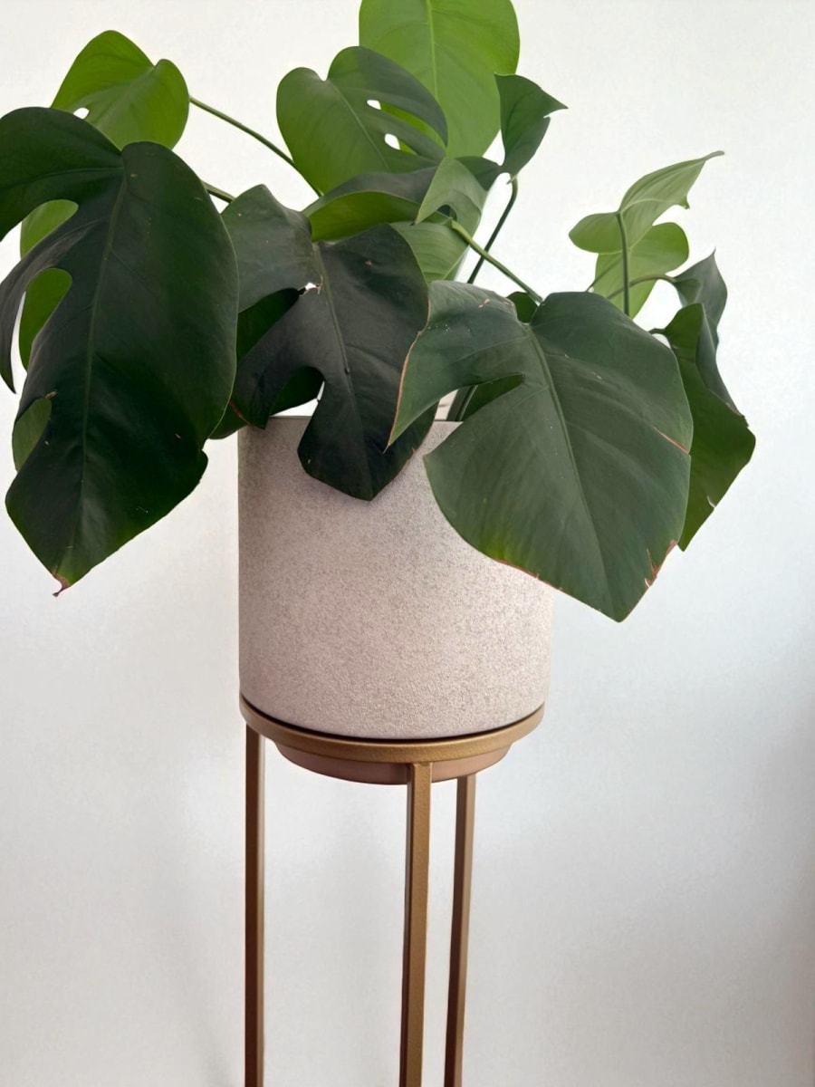 MACETERO DE PISO SAVANAH2