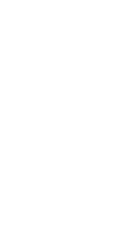 Blume in a pot