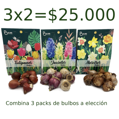 Promoción 3x2