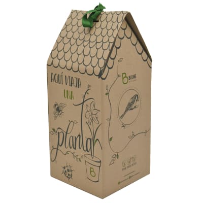Caja para regalo