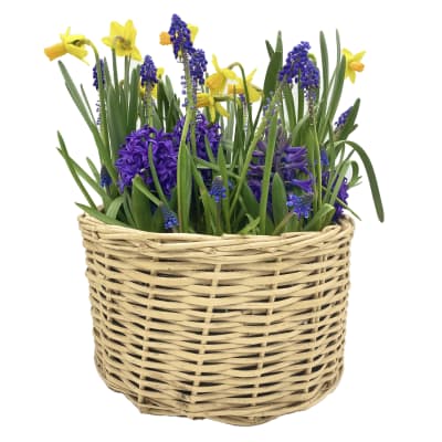 Canasto grande mix flores