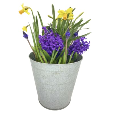 Laton grande mix flores