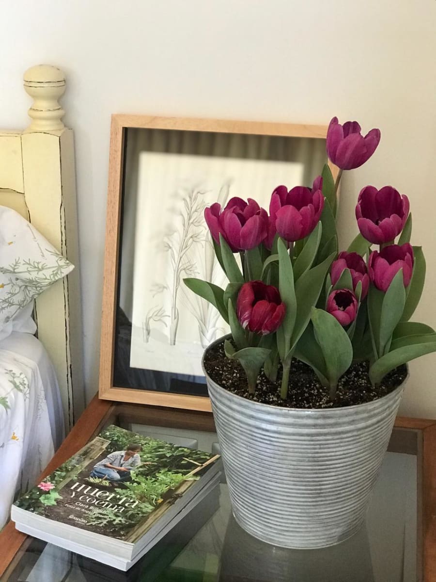 Laton grande con tulipanes14